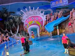 -烟台海昌鲸鲨海洋公园