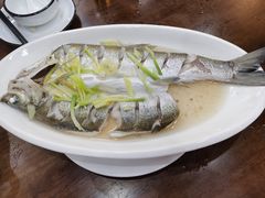 清蒸白鱼-观桥阁(锦溪店)