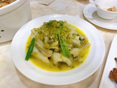 雪菜炒黄鱼脯-顺风海鲜港(金玉兰店)