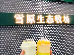 -茉酸奶(春熙路店)