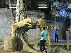 -清迈夜间动物园