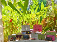 -大象粑粑造纸公园