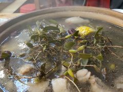 石橄榄炖鸡-洪大厨鸡煲(福田店)