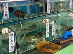 水产区-金麒麟美食城