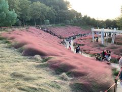 -牛岗山公园