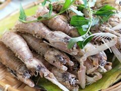-老房子·1881海鲜餐厅