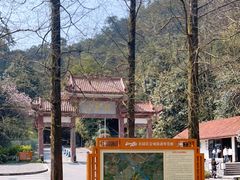 -缙云山景区
