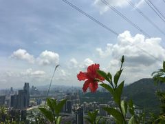 -小南山公园