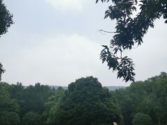 -灵谷景区