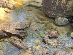 -广州白江湖森林公园