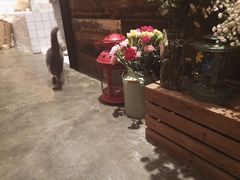 iphone_upload_pic-MIKAKU(万达广场上海宝山店)