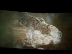 -星辉电影公园(时代广场CC MALL店)