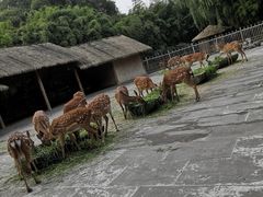 -金沙遗址博物馆