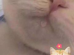 -迦南·甜品蛋糕(传媒店)