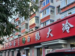 -白鹤大冷面