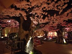 -蓝鲸湾汤泉(包河店)