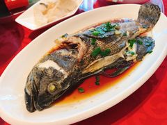 -泰康之家·申园