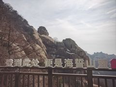 -今鲜源大酒店·中华餐饮名店(新湛路店)