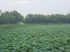 -亲兄弟真人CS团建拓展基地