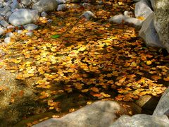 -青峰峡国家森林公园