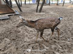 -南戴河国际娱乐中心