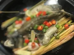 鱼-聚福宝合苑食府(南头镇店)