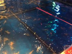 -钳真多钓虾馆·小龙虾海鲜烧烤(九六广场店)