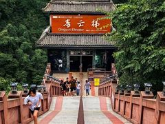 -中国大熊猫保护研究中心雅安碧峰峡基地