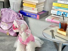 -nodcafe(M50创意园店)