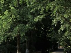 -沈阳植物园