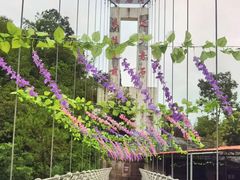 -四会奇石河风景区