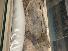 -巴音郭楞蒙古自治州博物馆