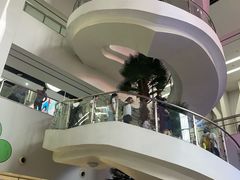-厦门诚毅自然探索馆