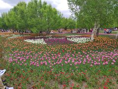 -长春公园(普阳街道)