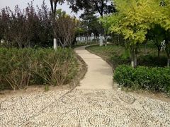 -天津金海湖
