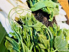 -一坐一忘云南菜(三里屯店)