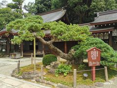 -水前寺成趣园