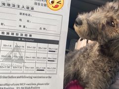 -北京佳信宠物医院