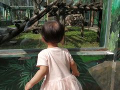 -西安秦岭野生动物园