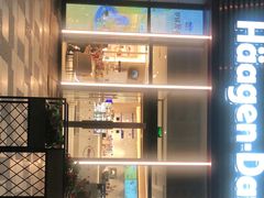 -哈根达斯(国瑞店)