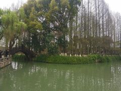 -乌镇东栅景区