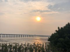 -宝安西湾红树林湿地公园