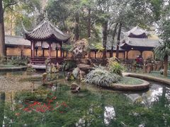 -陈麻婆豆腐(旗舰店)