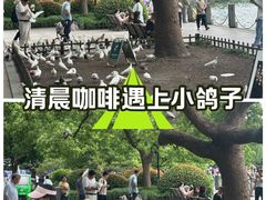 -杭州湖滨in77