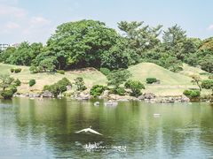 -水前寺成趣园