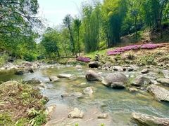 -广州白江湖森林公园