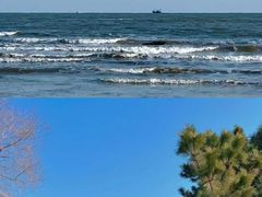 -巧克力渔家.小船海鲜胶东菜(万平口店)