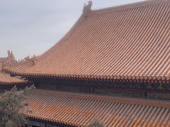 -颐和园