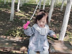 -艾溪湖湿地公园