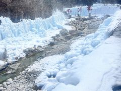 -陕西省红河谷森林公园